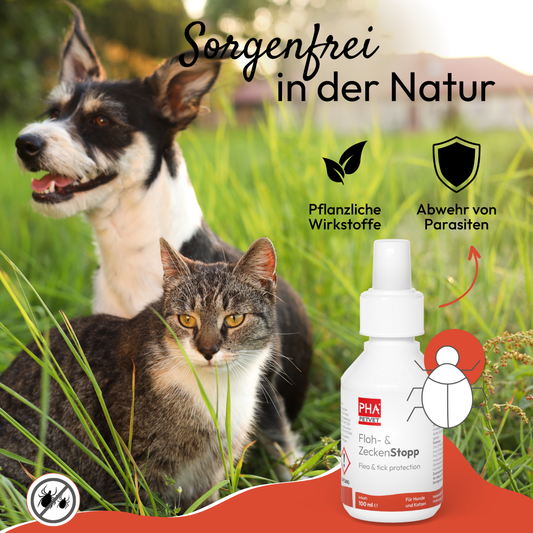 PHA spray anti-puces et tiques pour chiens et chats 100 ml Kauartikel.com GmbH