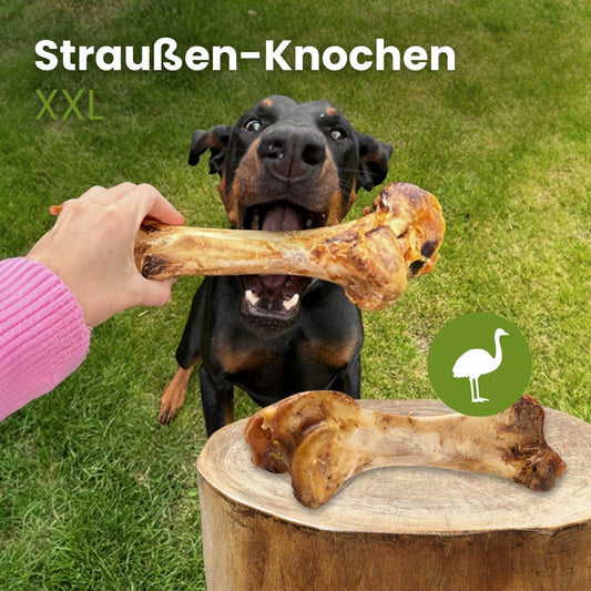 Os d'autruche XXL pour chien sans conservateurs