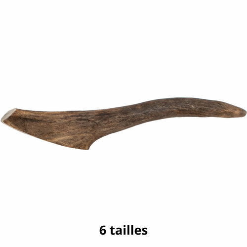 Bois de cerf Doogy – Friandise à mâcher naturelle pour chien