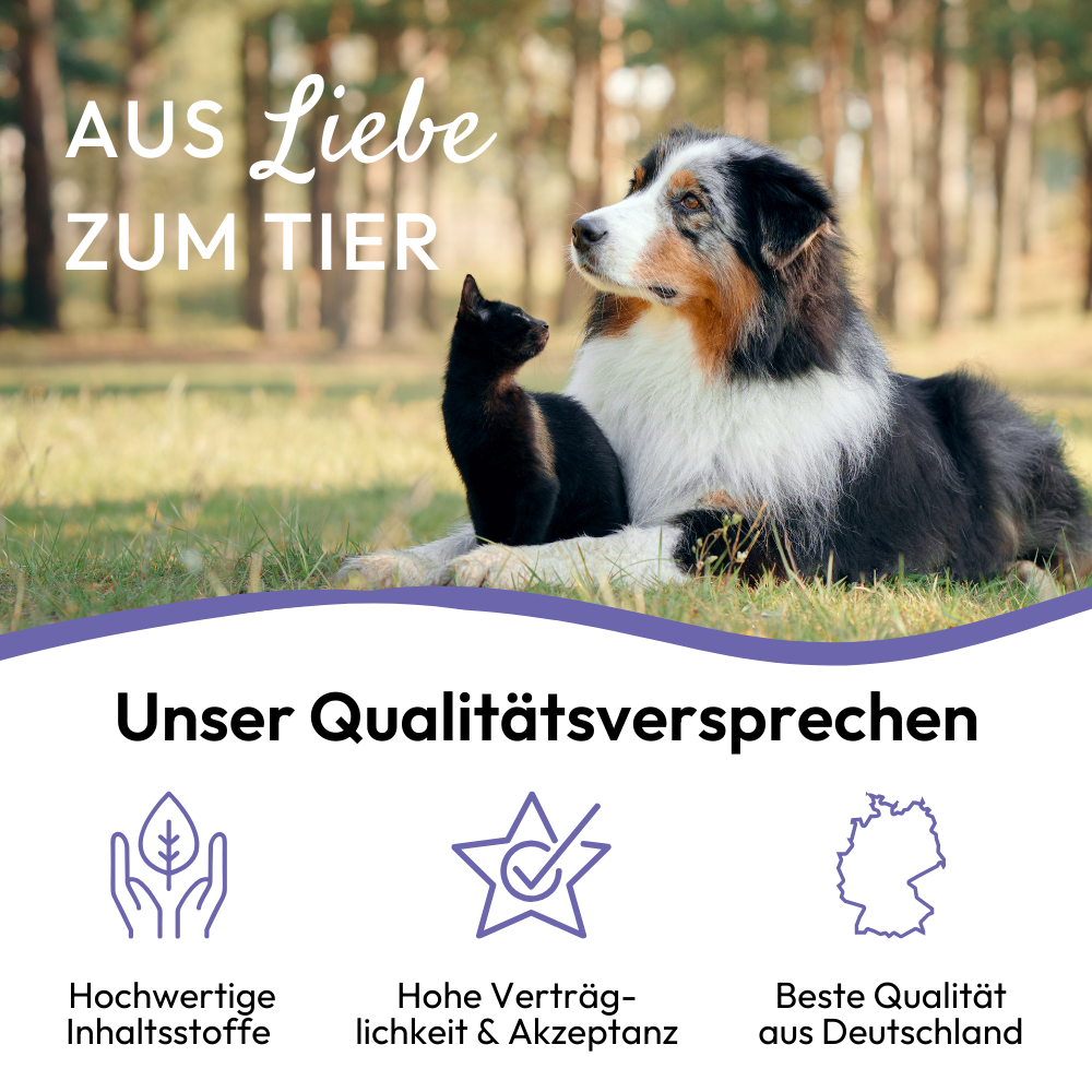 Pâte Apaisante PHA – Soutien naturel contre le stress 🐾100 ml Kauartikel.com GmbH