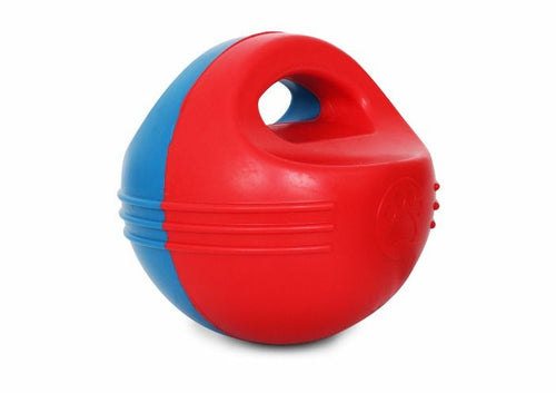 Superball TPR Flottante avec Poignée - 16 cm - Jouet de Baignade pour Chien
