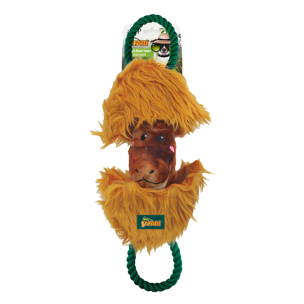 AFP Safari - Serpent de la jungle pour chien