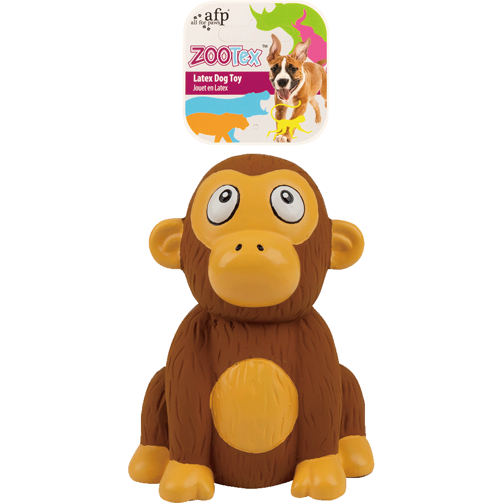 AFP ZooTex - Christopher le chimpanze pour chien