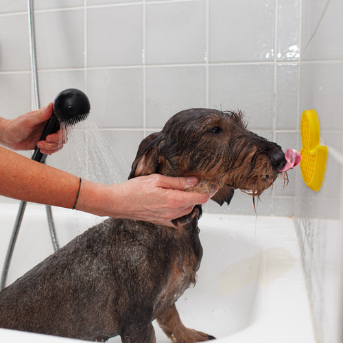 AFP Calm Paws – De-Stress Duck Bath Toy for Dogs