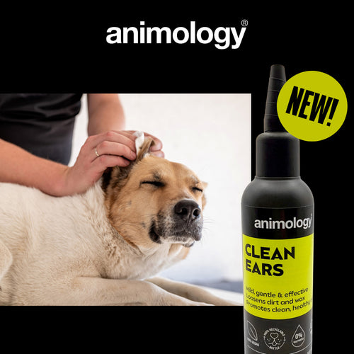 Nettoyant pour oreilles 100 ml - Animology