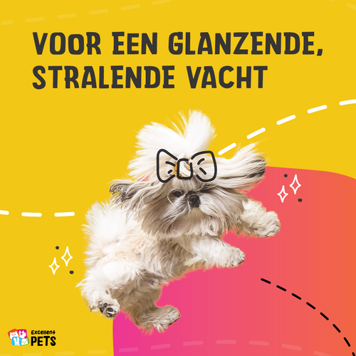 Excellent Pets Biozin – Biotine, zinc & méthionine – Chien & chat