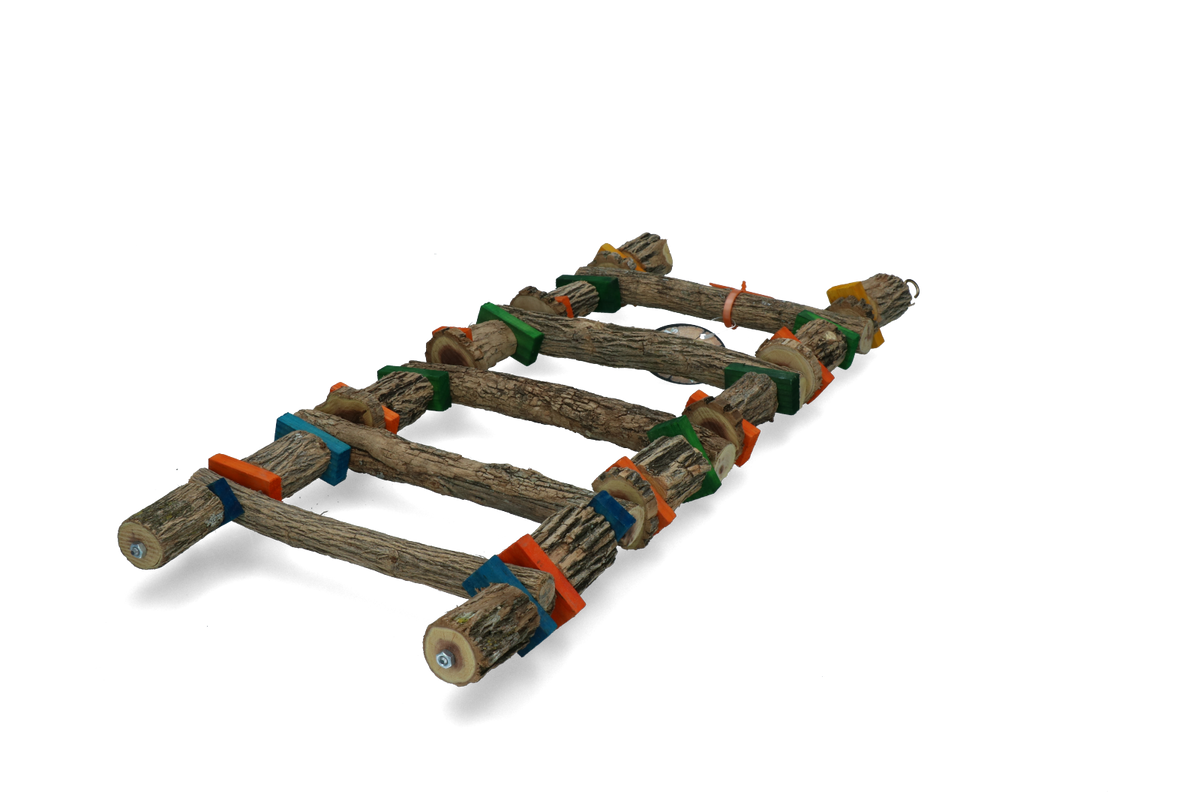 Birrdeeez Sekelbos Ladder Large 5-step