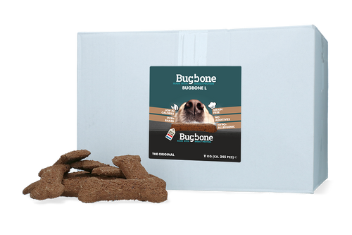 Bugbone Large – Os à mâcher aux insectes, format 11 kg