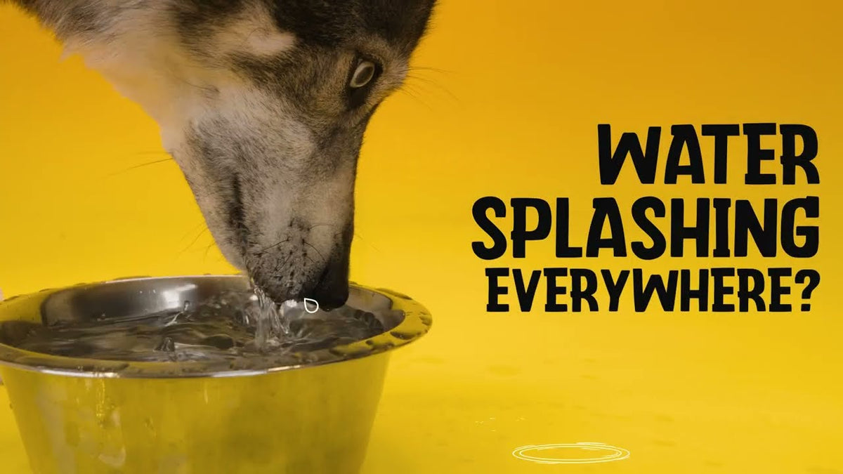 Excellent Pets No-Spill Bowl 300ml Blue S