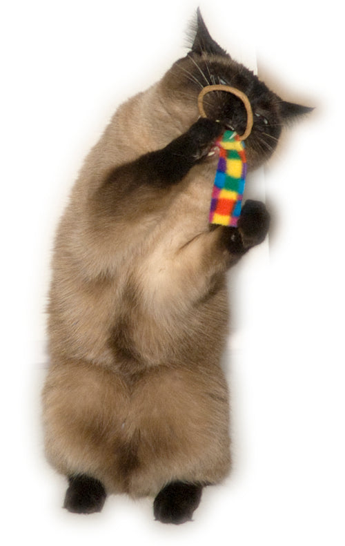 Cat Dancer Ring Tail Chasers (2er-Pack)