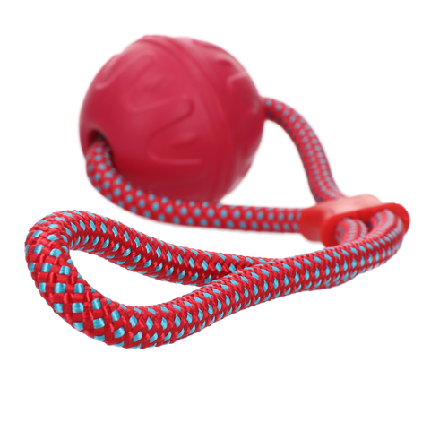 Dog Comets Vortex Loop – Jouet corde réfléchissante rose