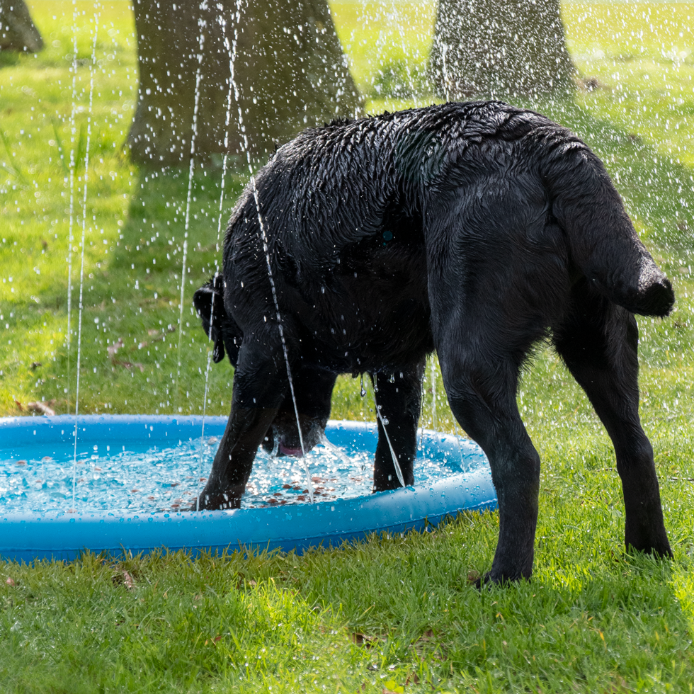 CoolPets Splash Pool Water Sprinkler 100 cm