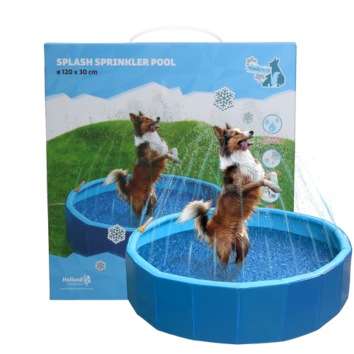 Piscine rafraîchissante avec jets d’eau pour chien – CoolPets Splash Pool