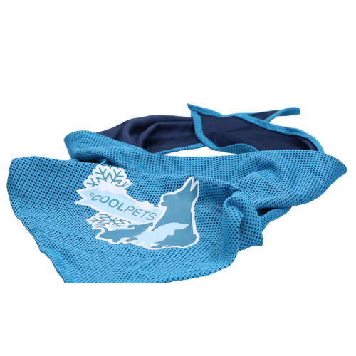 Bandana rafraîchissant pour chien – CoolPets Cooling Bandana