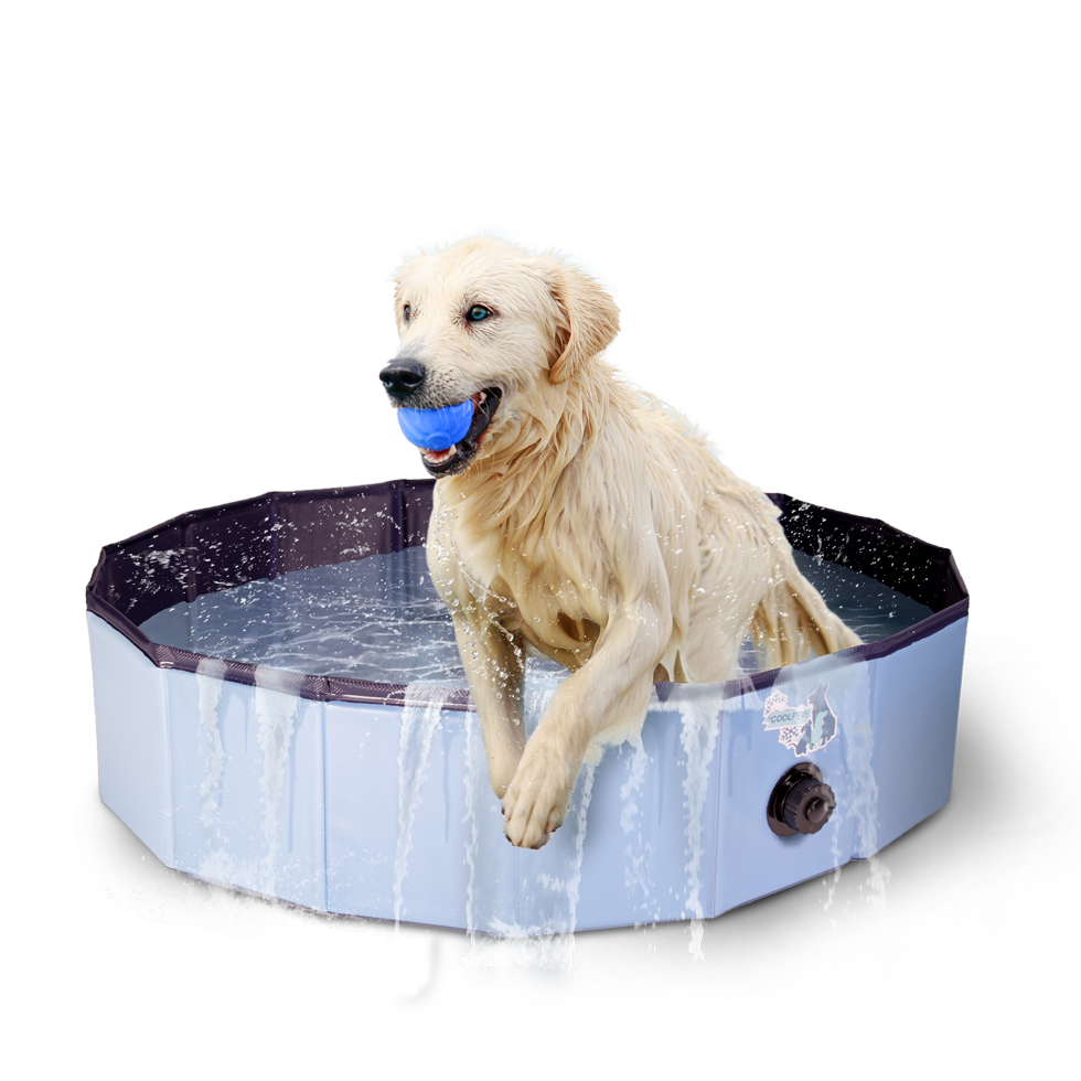 CoolPets Splash Dog Pool ø 100 x 30 cm