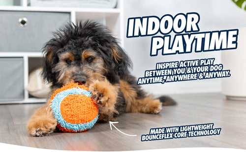 Chuckit! Indoor Shaker Hundespielzeug