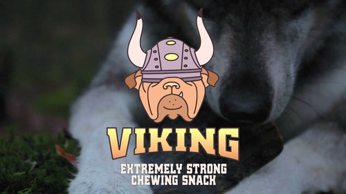 Viking Horn – Corne Naturelle à Mâcher pour Chien M