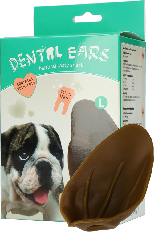 Dentalohren groß 6 Stck.