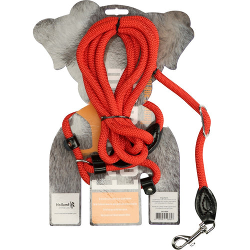 Easy Walk – Laisse-harnais rouge Regular 345 cm