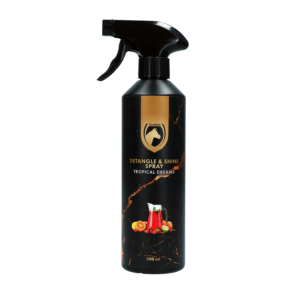 Detangle 500ml Rêve tropical