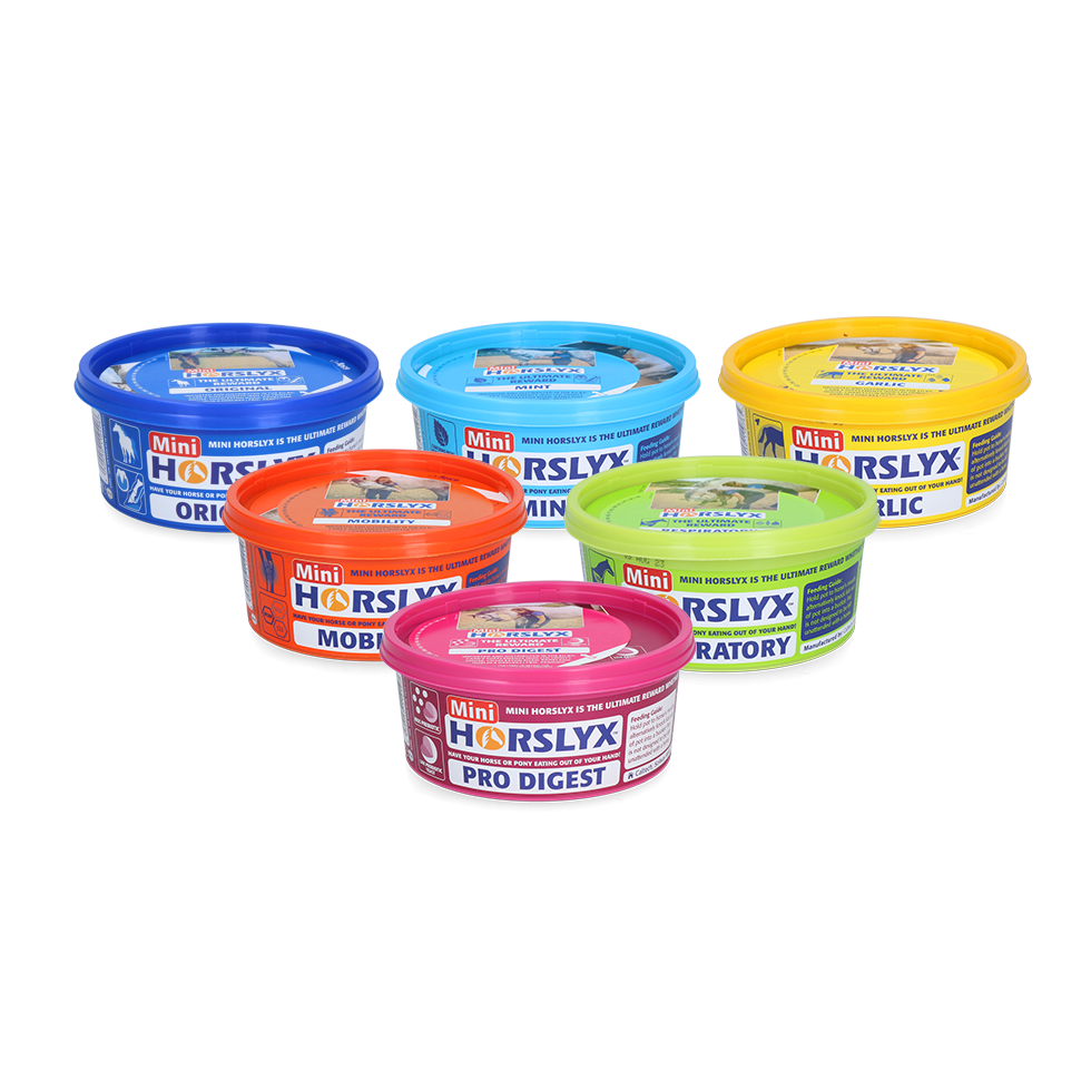 Horslyx Mini – Coffret gamme complète 6 × 650 g Horslyx