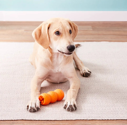 Hc953140a2a6e4c48b34e382ea76b3ab5T