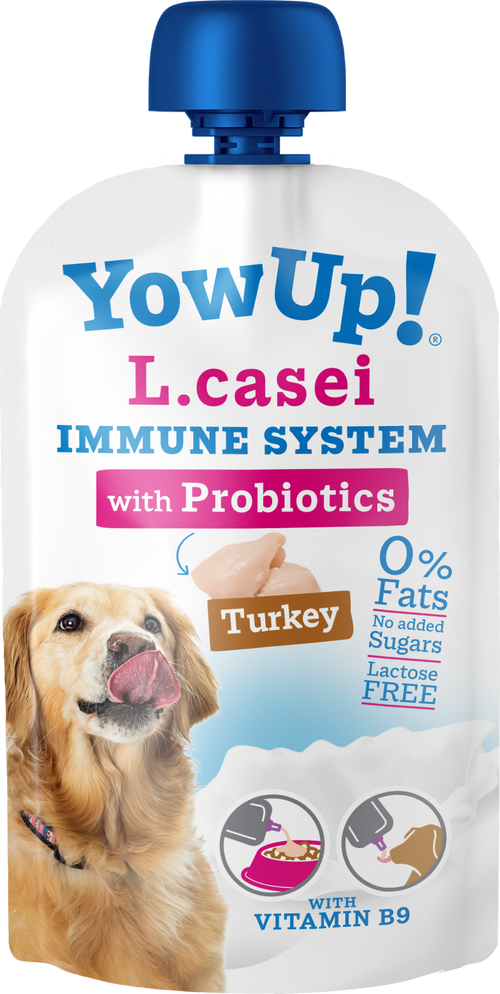 YowUp! L. Casei — Probiotiques Actifs pour Chiens - Lot de 10