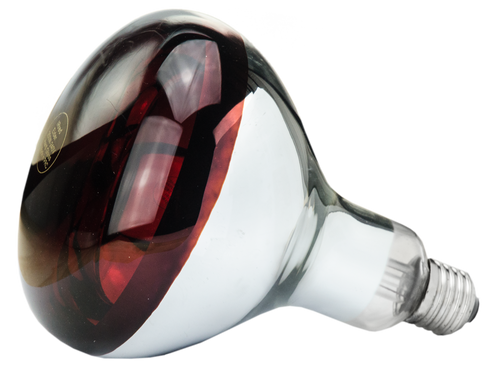 Hard Glass Lamp 150W - Red