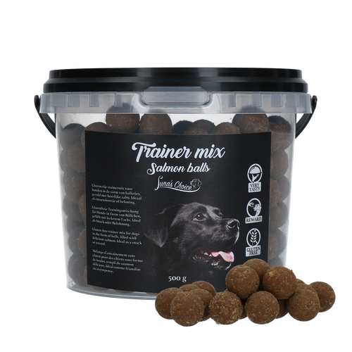 Luna's Choice Trainer Mix Lachs-Bällchen (glutenfrei)