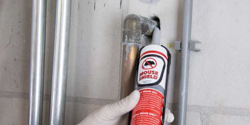 Mouseshield Classic — mastic répulsif anti-rongeurs