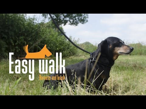 Easy Walk Shoulder Model Red - Regular