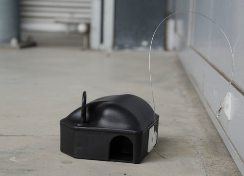 Câble d'Ancrage pour Appâts – 25 cm (lot de 10)