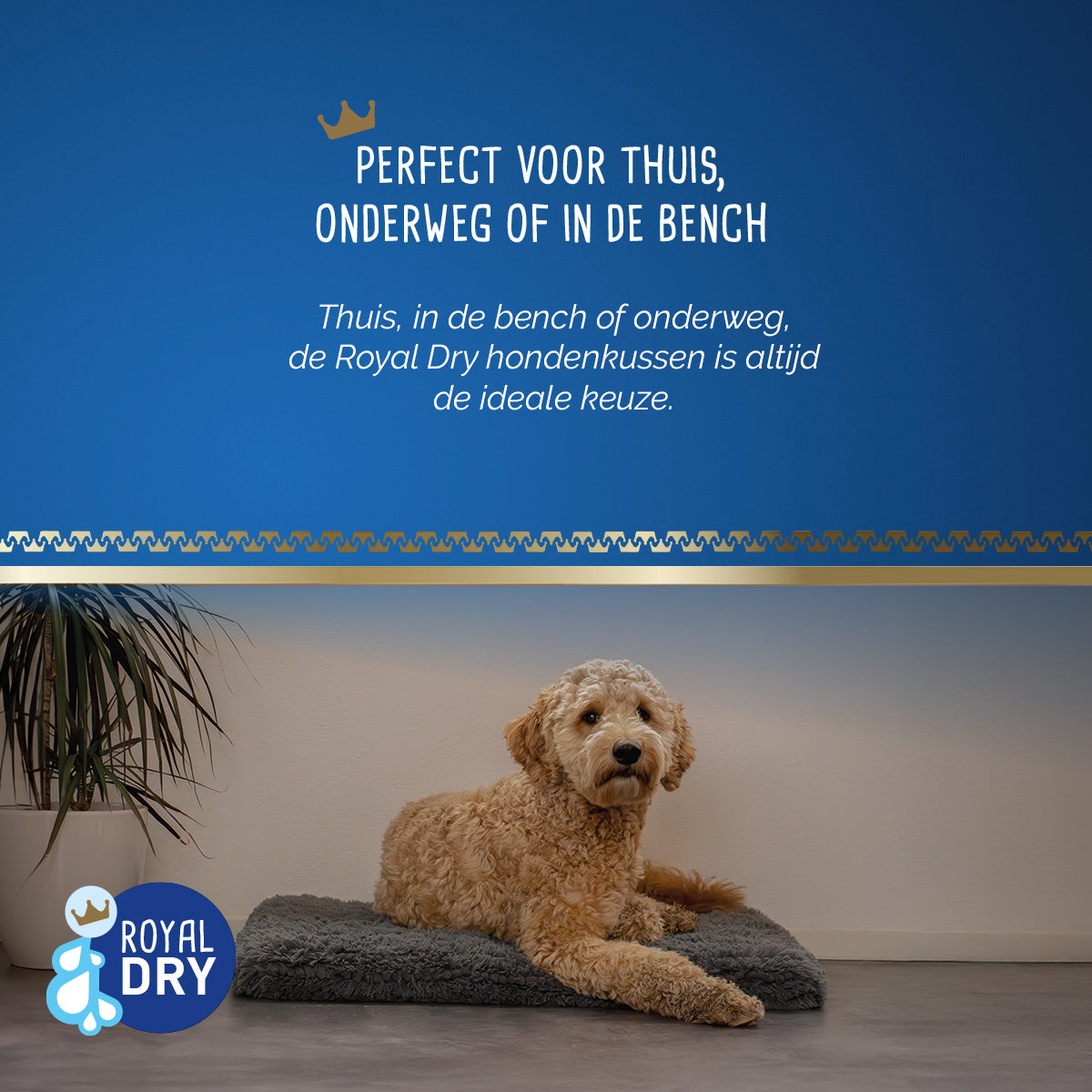 Royal Dry Pillow For Dogs L (58 x 91 cm)
