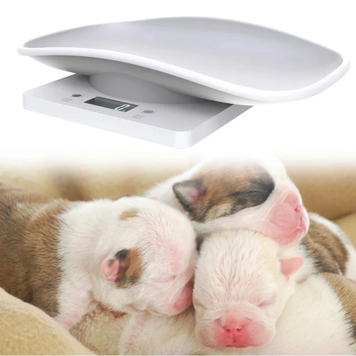 Balance électronique ultra précise pour chiots et petits animaux
