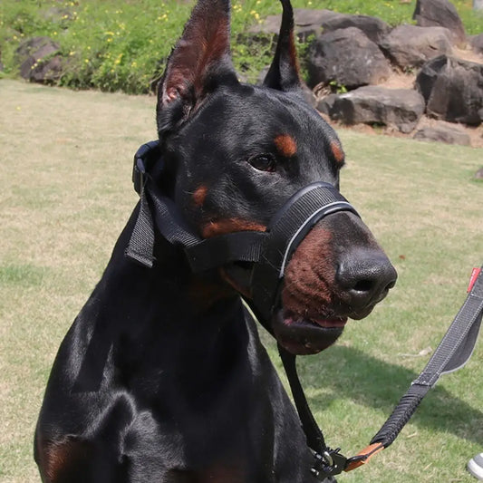 S45c469df46344185908f91b7dba96a20H