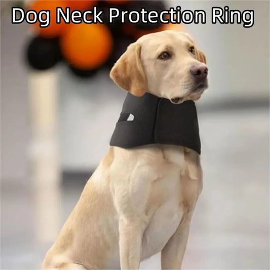 S5801d35630ab4afe8d55563bededd0fdp