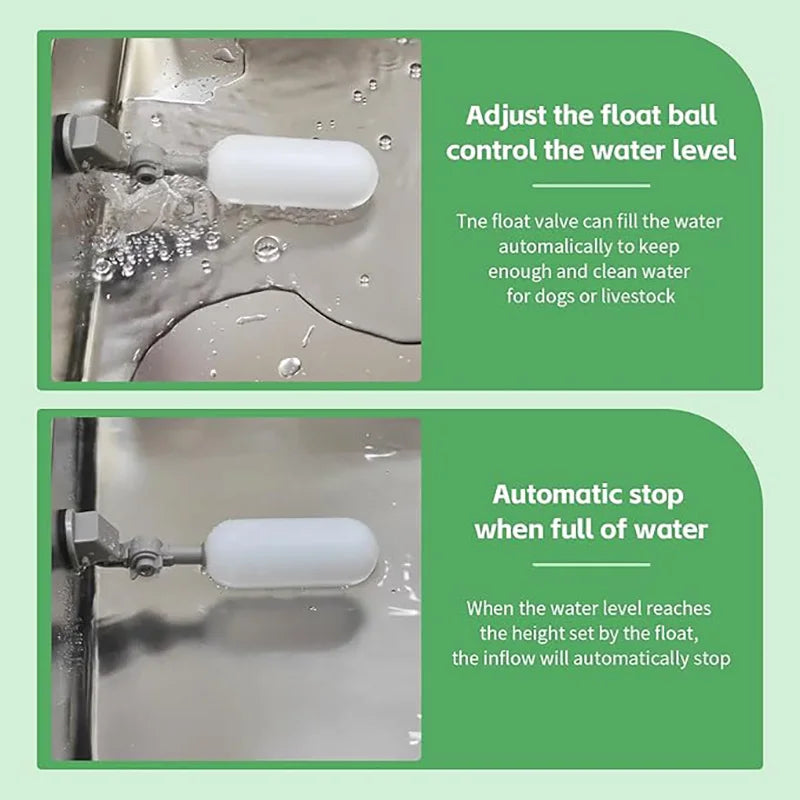 S6a38528582ed4787933387c8593a095fJ