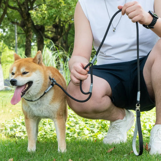 S9975731308d64f6b9ffae427e364a0f4G