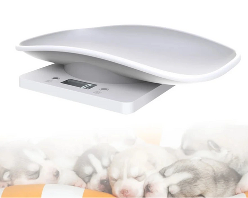 Balance électronique ultra précise pour chiots et petits animaux