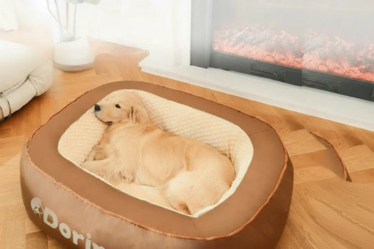 Sc8fd7edf5eef422aa335f1d11ec72eaa1