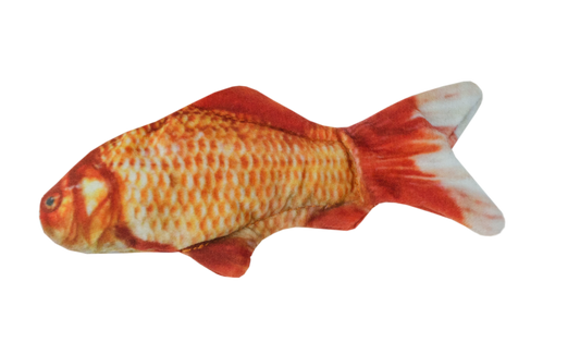 Wild Life Cat Goldfish