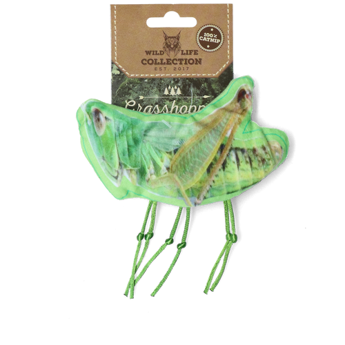Wild Life Collection – Sauterelle réaliste avec cataire pour chat