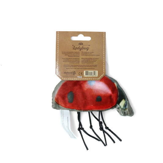 Wild Life Cat Ladybug