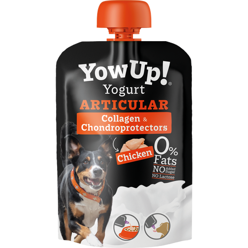 YowUp! Yaourt Naturel pour Chiens — Articulations & Mobilité - Lot de 10