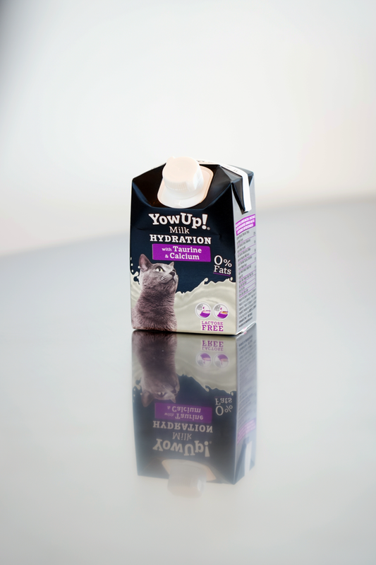 YowUp! Cat Milk Hydration 200 ml