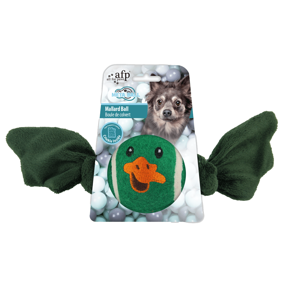AFP Meta Ball – Balle canard pour chien - Trufféo