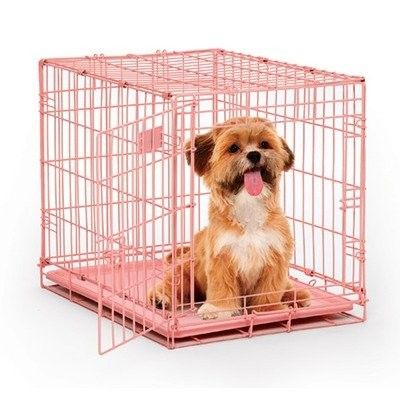 Cage de transport pliable - Plateau en métal TOPMAST
