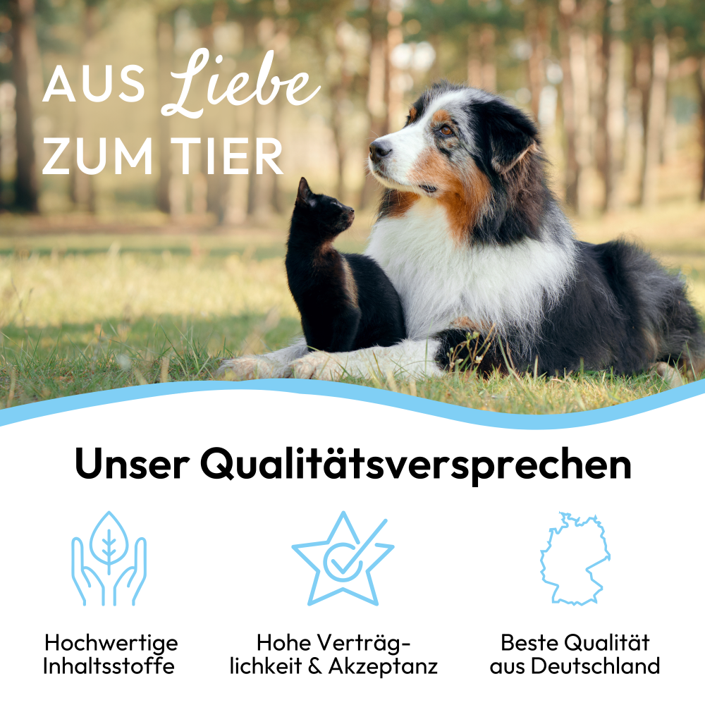 Soin oculaire PHA pour chiens et chats 20 ml Kauartikel.com GmbH