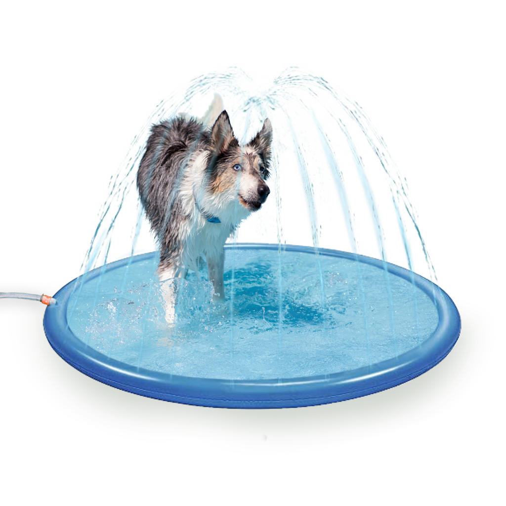 Tapis arroseur Splash Coolpets 150 cm Hofman Animal Care