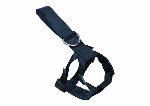 Harnais de Sécurité Auto Topmast - Ajustable